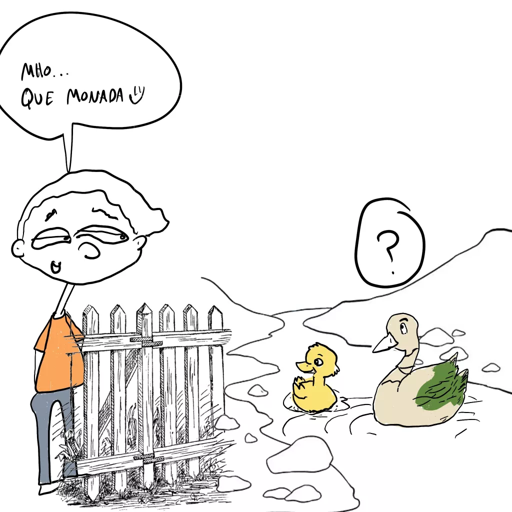 amor de pato